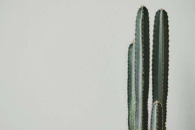 Не жди — сходи к врачу!